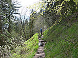 ...und durch lichten Bergwald...