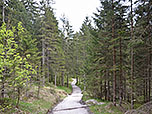...wandern wir hinunter...