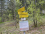...zur Halsgrube