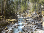 Der Blick zurück auf den Gebirgsbach