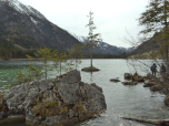 Ein Baum lässt es sich auf der kleinen Insel gut gehen