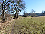 ...und folgen einer Baumreihe