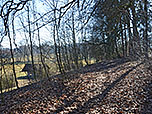 ...und biegen in einen Waldpfad ein