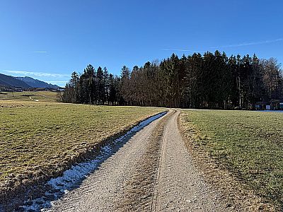 ...und steuern auf den nächsten Wald zu