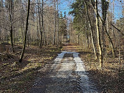 ...und folgen dem Karrenweg hinauf...