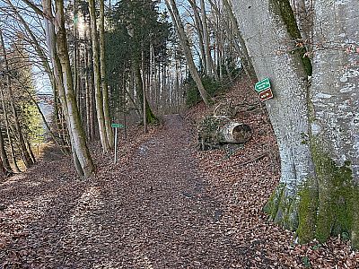 ...und biegen kurz darauf an der Gabelung rechts ab