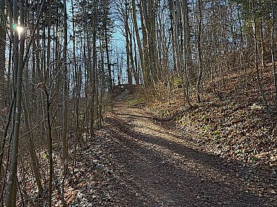 Ein steiler Anstieg bringt uns hinauf...