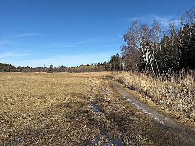 ...touchieren wir ein Waldstück...