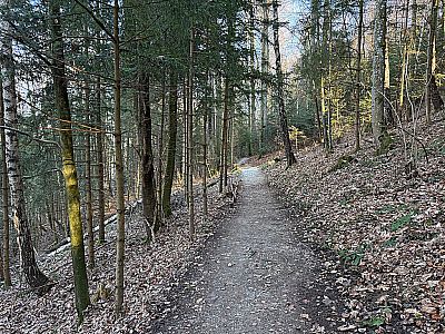 Auf der Nordseite des Hitzelsberges...