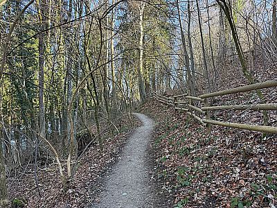 ...und wandern auf dem Waldweg weiter ostwärts