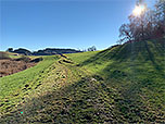 Auf der Südseite des Sees biegen wir in einen Wiesenweg ein