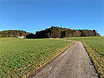 Von Zanhsam nähern wir uns einem Waldstück