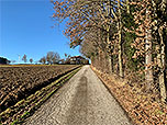 Wir folgen einem Waldrand