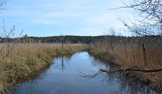 Eggstätt-Hemhofer Seenplatte - Wanderung ab Hartmannsberg