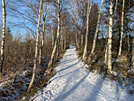 ...und wenden uns nach links
