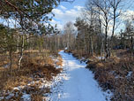 ...und folgen dem Moorweg südostwärts