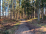 ...und schlagen den Weg in Richtung Griessee ein
