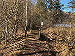 Der Wald lichtet sich...