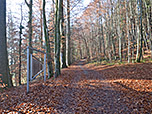 Durch den Wald gewinnen wir ein paar Höhenmeter