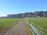 Wir verlassen den Wald...