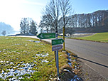 ...und überqueren eine Landstraße