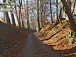 Über einen Karrenweg geht es einige Meter hinab...