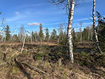 Die Moorlandschaft der Egerndacher Filzen