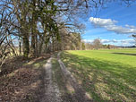 ...wandern wir auf einem Karrenweg nordostwärts