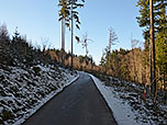 Wir halten uns links und folgen dem Teerweg hinauf...