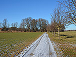 Nun wendet sich der Weg nach Norden...