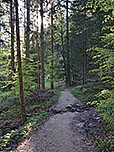 ...lichtet sich der Wald...