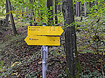 Der Weg zur Chiemhauser Alm ist nicht zu verfehlen