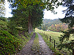 Der Wald lichtet sich...