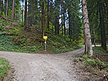 ...und erreichen im Wald einen Abzweig