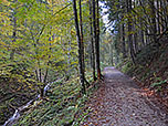 ...und folgen dem Forstweg südwestwärts