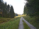 Wenig später verlassen wir den Bergwald...