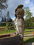 Tränke an der Chiemhauser Alm
