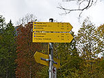 Wir orientieren uns Richtung Streichen und Chiemhauser Alm