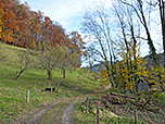 Ein Karrenweg...