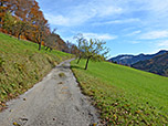 Der Weg wird im Anschluss wieder steiler