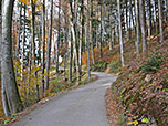 Der Fahrweg leitet uns durch ein Waldstück...