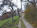 Von der Alm gehen wir hinauf zu einem Funkmasten