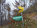 Vom Sattel lässt sich der Dandlberg-Gipfel in 20 Minuten erreichen