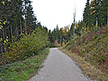 ...und wandern hinunter zu einem Forstweg
