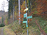 Später erreichen wir den Salinweg