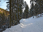 Im Winter bleibt man bei hoher Schneelage am geräumten Forstweg