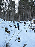 ...und steigen über einen Waldpfad steiler bergauf...