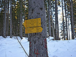 ...und nähern uns der Hemmersuppenalm