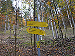 ...der uns hinauf zu einem Querweg bringt