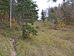 Nach der Alm nimmt die Steigung des Pfades zu...